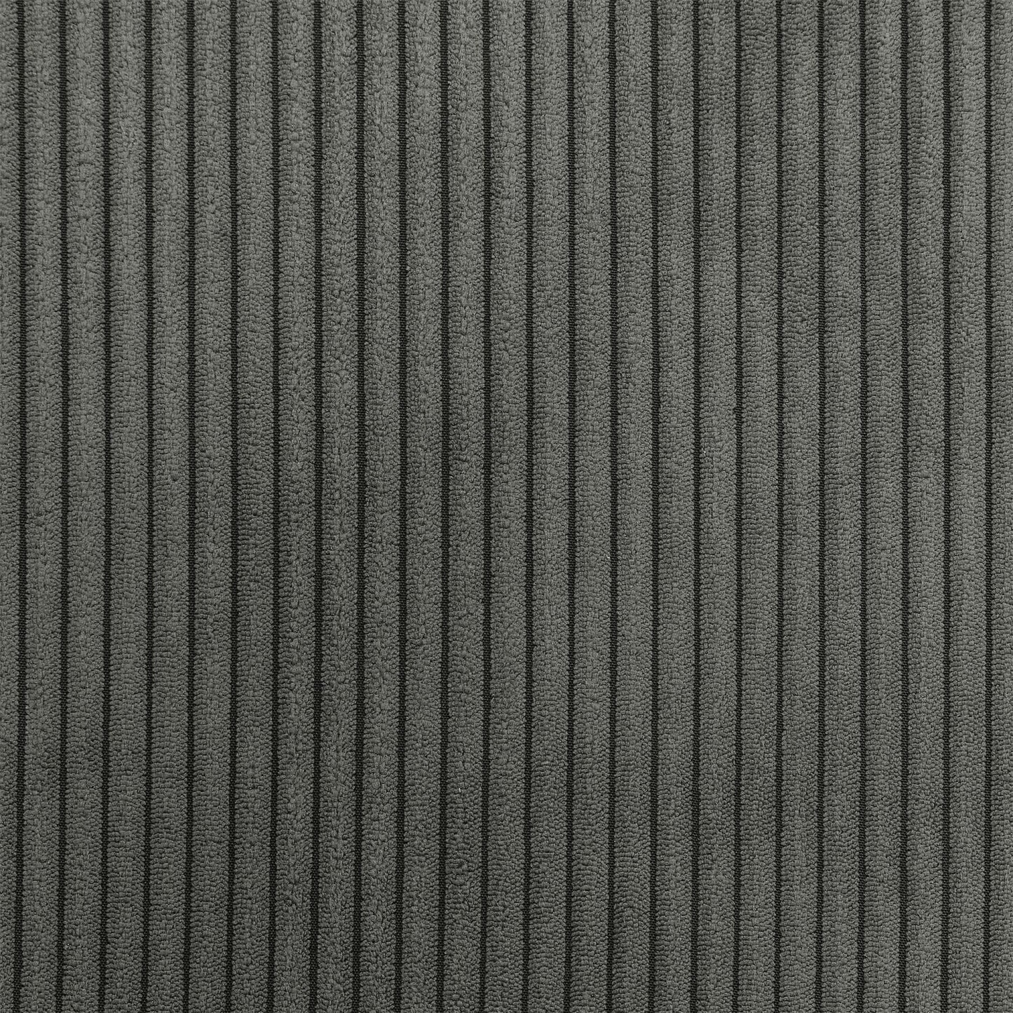 419203041