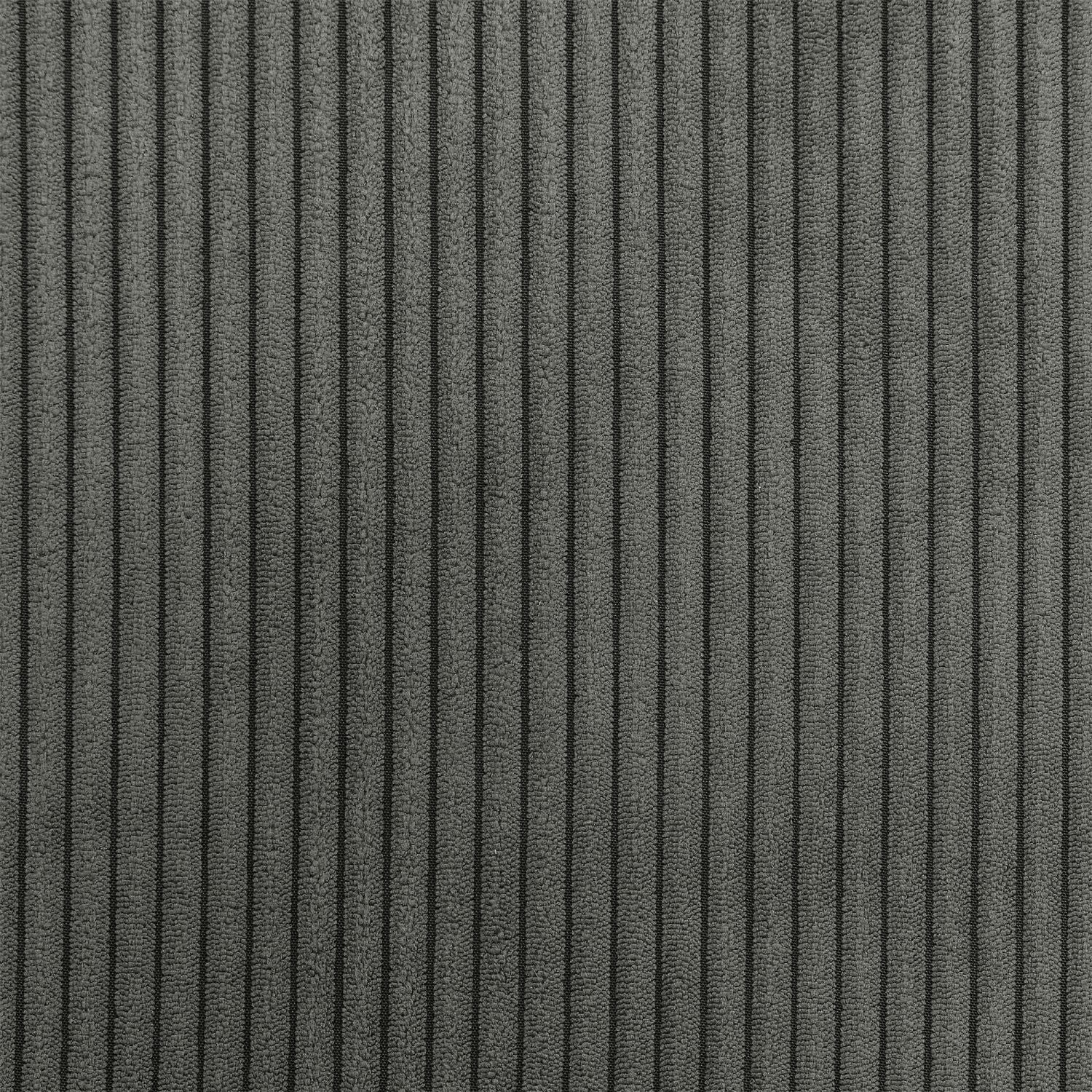 419203041